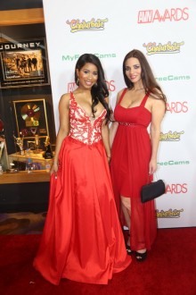 avn_2017_red_carpet_234